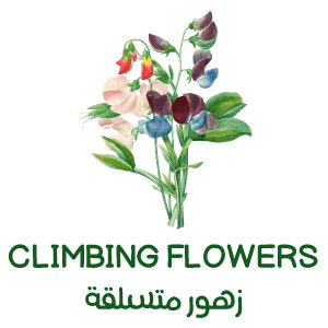 Climbing Flowers