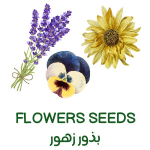 Flowers Seeds