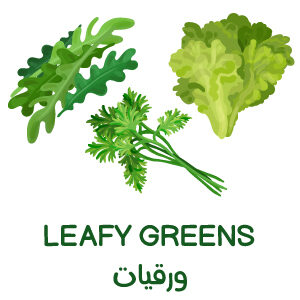 Leafy Plants