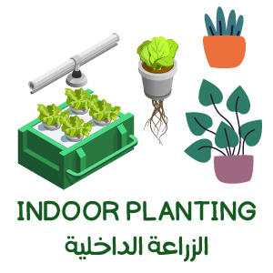 Indoor Planting