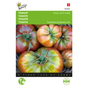 Noire de Creme Tomato طماطم كريمية بنية كبيرة
