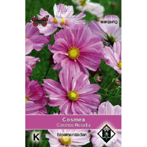Cosmos Rosetta كوزموس روسيتا