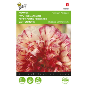 Flemish Antique Poppy أقحوان فلمش أنتيك