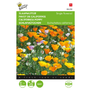 California Poppy أقحوان كاليفورنيا