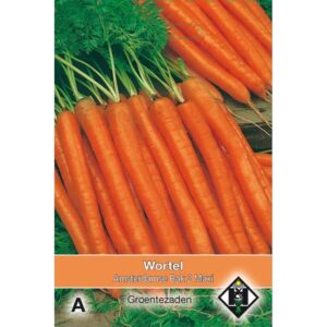 Wortel Amsterdam Carrot جزر امستردام الطويل