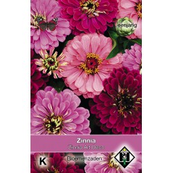 Zinnia Art Deco زينيا آرت ديكو