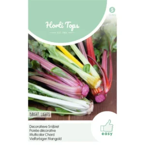 Rainbow SwissChard سلق ملون